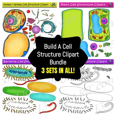 Build Cell Structure Clipart Bundle