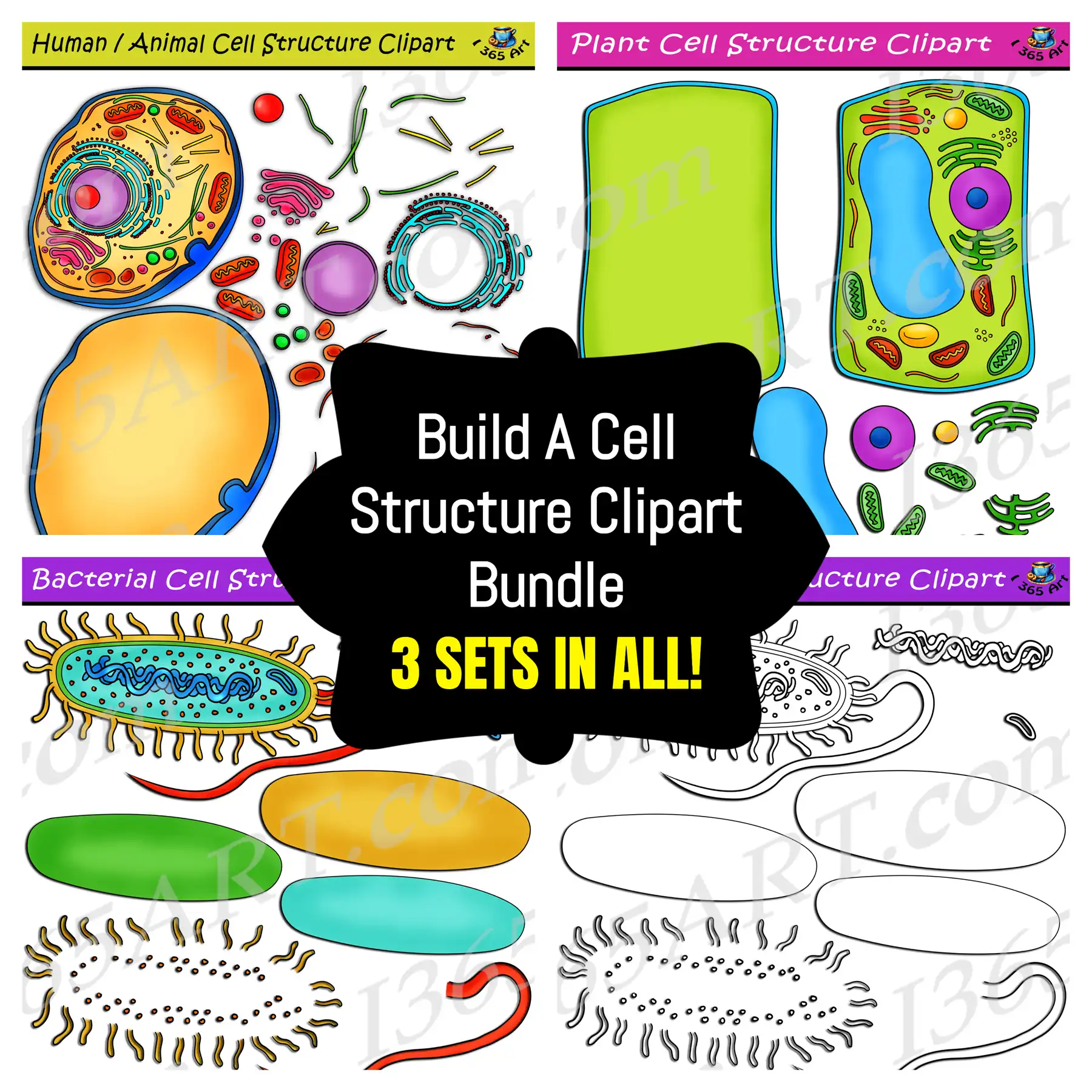Build Cell Structure Clipart Bundle