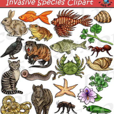 Invasive Species Clipart