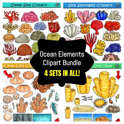Ocean Elements Clipart Bundle