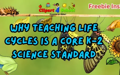 Why Teaching Life Cycles is a Core K-2 Science Standard (And How to Make It Unforgettable!) + Freebie Included!
